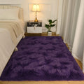 Softlife Ultra Soft Fluffy Area Rugs for Bedroom, Girls and Boys Room Kids Room Nursery Rug, 3 x 5 Feet Shaggy Fur Indoor Plush 