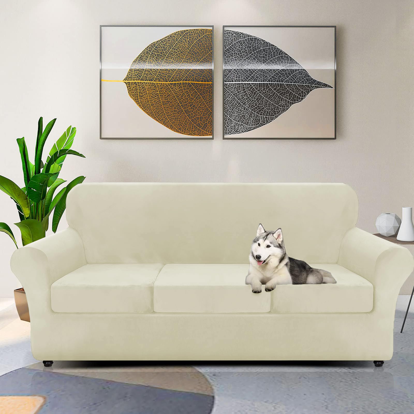 Znsayotx Luxury Velvet Couch Cover 4 Piece Stretch Sofa Covers For 3 Cushion Couch Thick Soft Spandex Sofa Slipcover Living Room Anti Slip Dogs Furniture Protector (Beige), 71'-91'(3 Cushions)