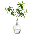 Hewory Large Glass Vase for Decor, 10in Clear Tall Farmhouse Decorative Floor Vase, Round Bubble Balloon Vase Glass Jug Vases fo