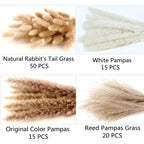 Dried Pampas Grass Decor, 100 Pcs Pampas Grass Contains Bunny Tails Dried Flowers, Reed Grass Bouquet For Wedding Boho Flowers H