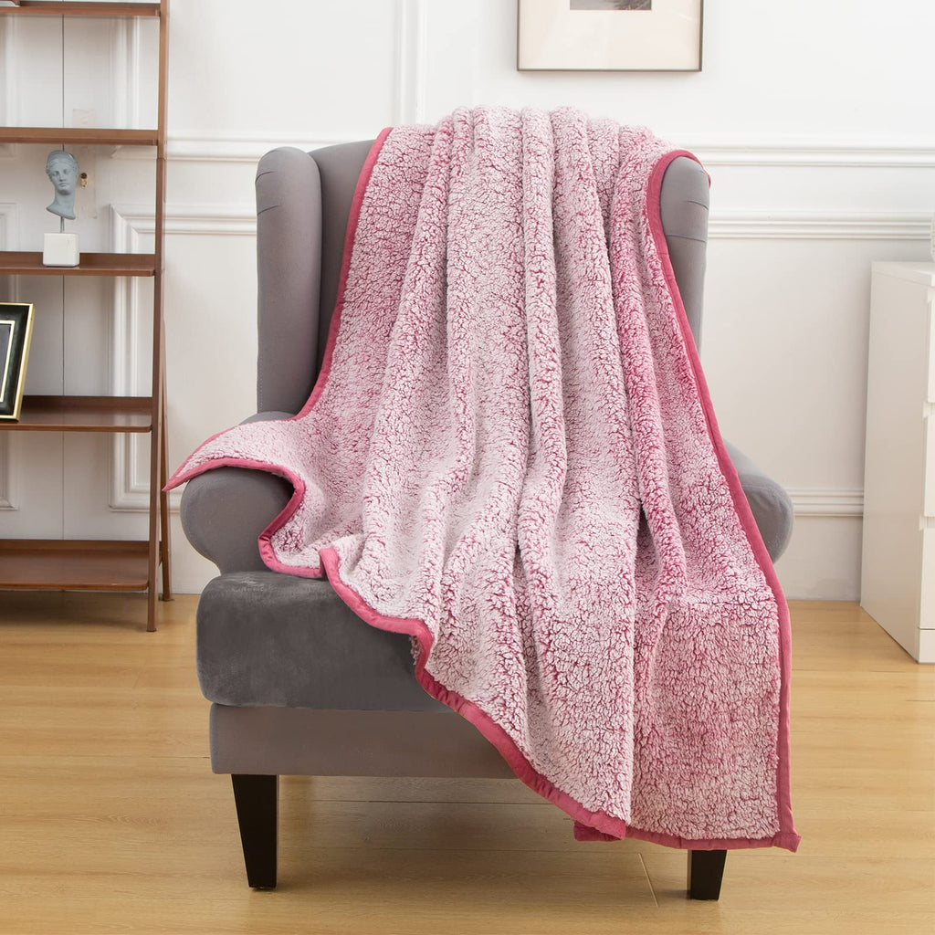 Emme Fuzzy Fleece Warm Blanket 50'X60' Throw Size Ultra Soft Warm Sherpa Blanket Microfiber Cozy Blanket For Couch Sofa Lightw
