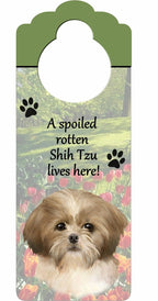 Shih Tzu Puppycut, Tan and White Wood Sign 'A Spoiled Rotten Shih Tzu Puppycut, Tan and White Lives Here'with Artistic Photogr