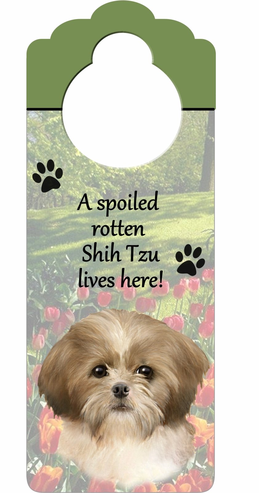 Shih Tzu Puppycut, Tan and White Wood Sign 'A Spoiled Rotten Shih Tzu Puppycut, Tan and White Lives Here'with Artistic Photogr