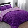 Basic Beyond Queen Comforter Set - Purple Comforter Set Queen, Reversible Bed Comforter Queen Set For All Seasons, Purple/Lilac,