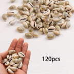 Herzwild Spiral Shell Beads Tiny Natural Sea Shell Ocean Spiral Seashells Ocean Beach Spiral Seashells Craft Charms For Resin Cr
