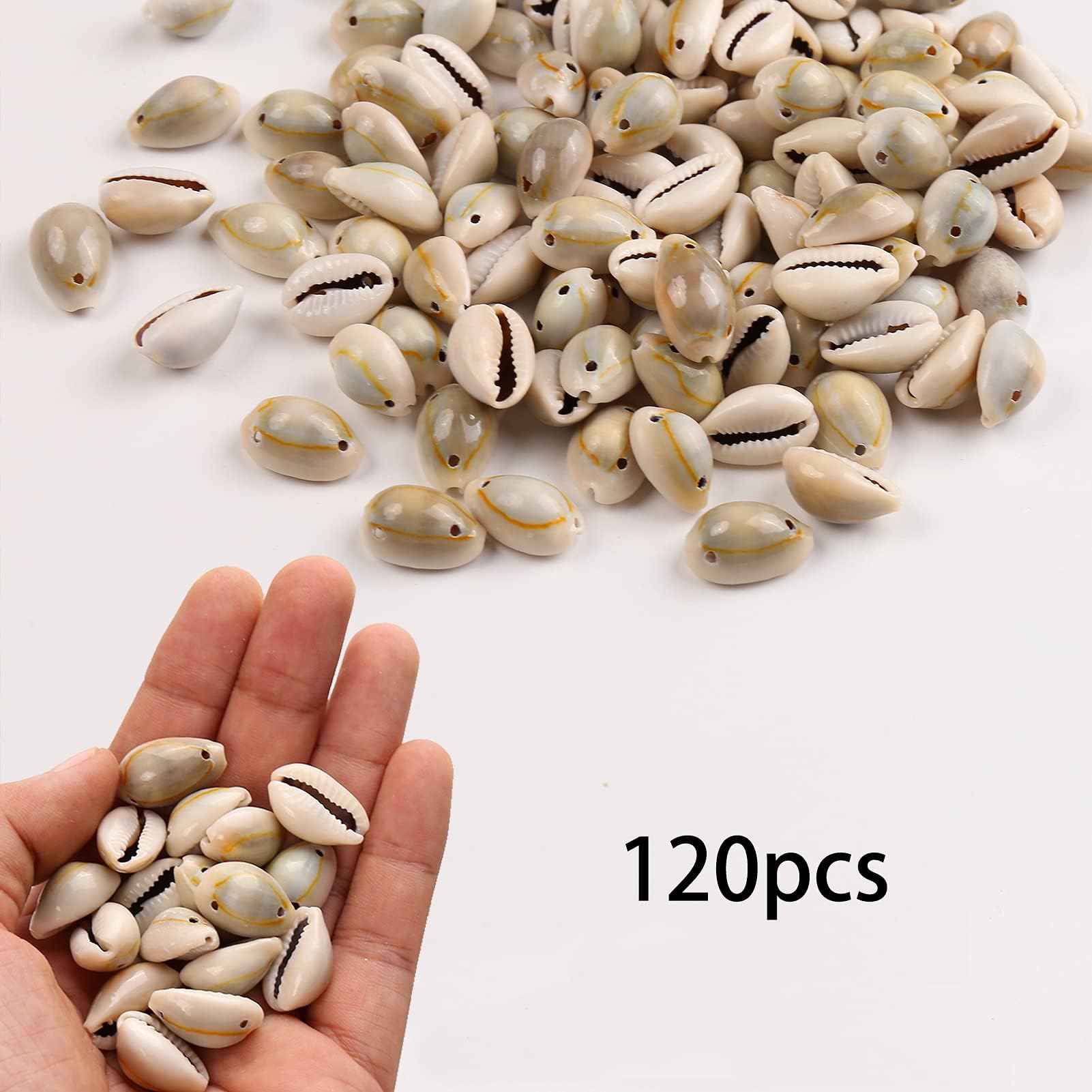 Herzwild Spiral Shell Beads Tiny Natural Sea Shell Ocean Spiral Seashells Ocean Beach Spiral Seashells Craft Charms For Resin Cr