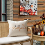 Rabusofa Fall Pillow Covers 18X18 White Hello Pumpkin Autum Pillows Decorative Throw Pillows,Outdoor Thanksgiving Cushion Cover
