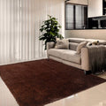 YUFANUHO Brown Rugs for Living Room, Ultra Soft Indoor 5x7 Feet Brown Shaggy Area Rugs for Bedroom, Kids Room, Home Decor High P