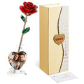 Mikasol Gold Dipped Real 24K Forever Preserved Rose, 1 Pack Infinity Flower Decor Hand Dipped Romantic Gift for Women in Her Wif