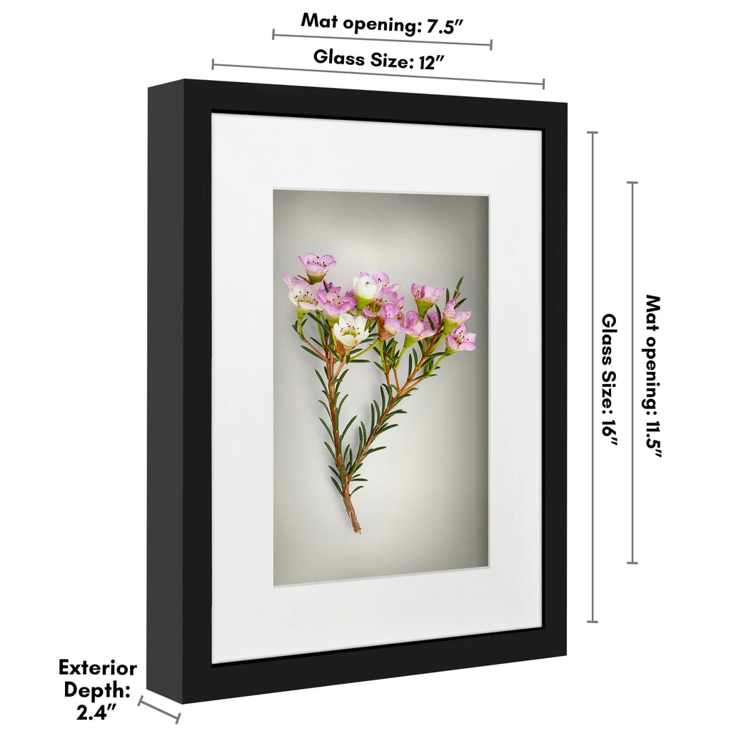 Americanflat 12X16 Shadow Box Frame With Polished Plexiglass - Use As 8X12 Frame With Mat Or 12X16 Frame Without Mat - Silhouett