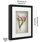 Americanflat 12X16 Shadow Box Frame With Polished Plexiglass - Use As 8X12 Frame With Mat Or 12X16 Frame Without Mat - Silhouett