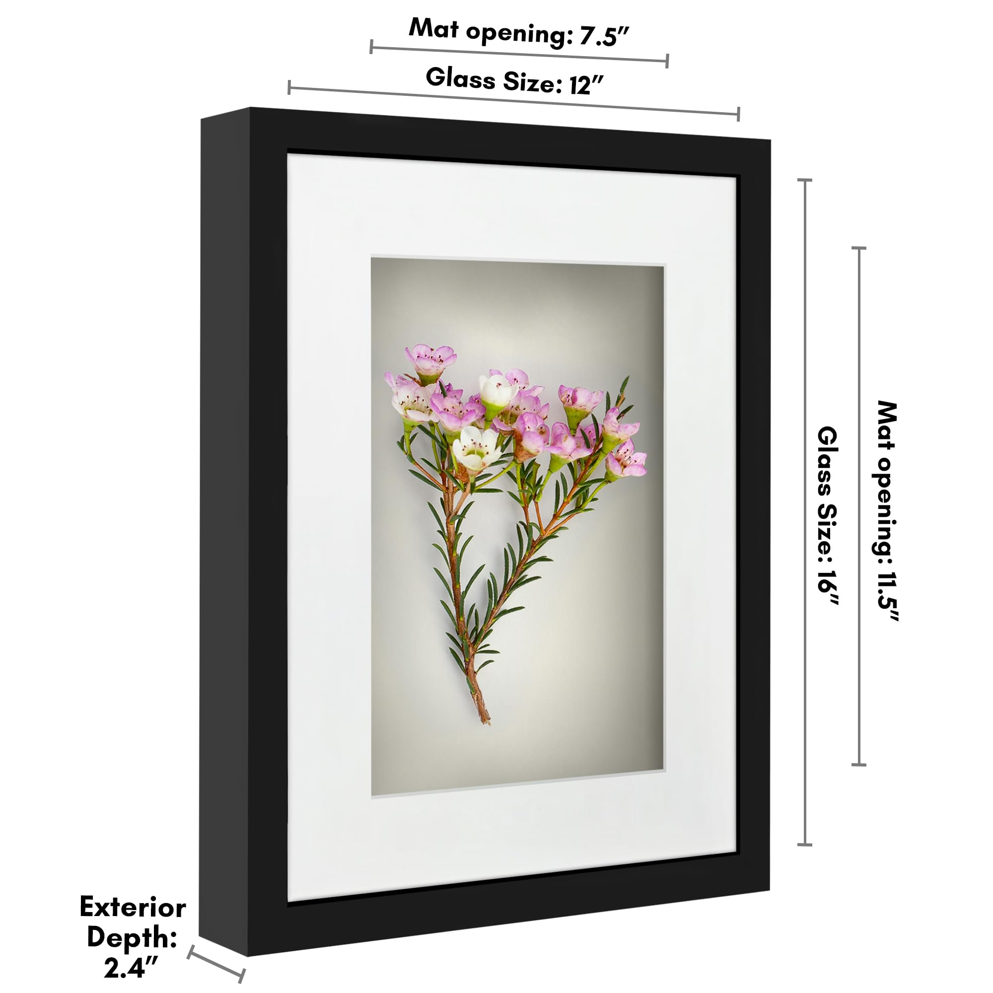 Americanflat 12X16 Shadow Box Frame With Polished Plexiglass - Use As 8X12 Frame With Mat Or 12X16 Frame Without Mat - Silhouett