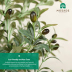 Mosade Artificial Olive Tree 6 Feet Fake Olive Silk Plant And Handmade Seagrass Basket, Perfect Tall Faux Topiary Silk Tree For