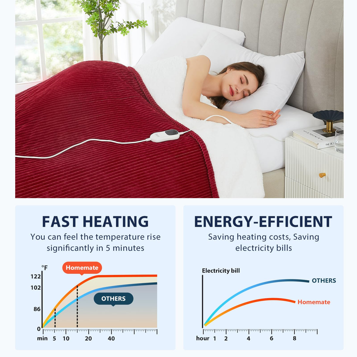Homemate Electric Blanket Queen Size - 84''X90'' Heated Blanket Queen Size 1/2/4/6/8 Hours Auto-Off 10 Heat Levels Over-Heat Pro