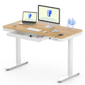 FLEXISPOT Comhar Electric Standing Desk with Drawers Charging USB Port, Height Adjustable 48 Whole-Piece Quick Install Home Offi