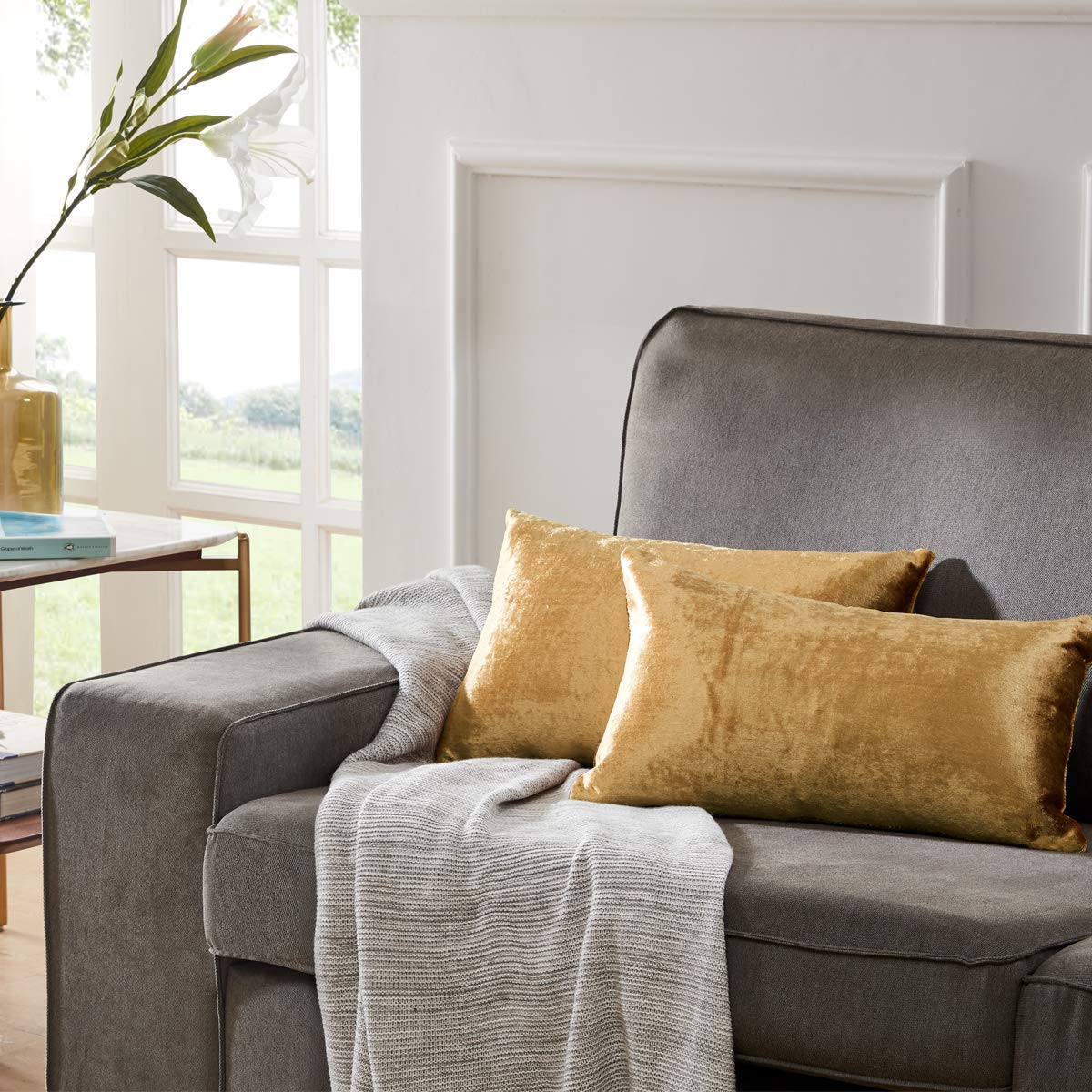 Gigizaza Gold Velvet Decorative Throw Pillow Covers For Sofa Bed 2 Pack Soft Cushion Cover