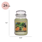 A Cheerful Giver - Sage & Citrus Scented Glass Jar Candle (24 Oz) With Lid & True To Life Fragrance Made In Usa