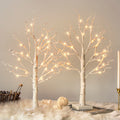 Vanthylit White Birch Tree with LED Lights - Set of 2, LED Tabletop Tree with Timer, Christmas Decorations Lighted Tree for Indo