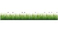 Crearreda CR-53004 Grass and Ladybugs Border Decal, Green