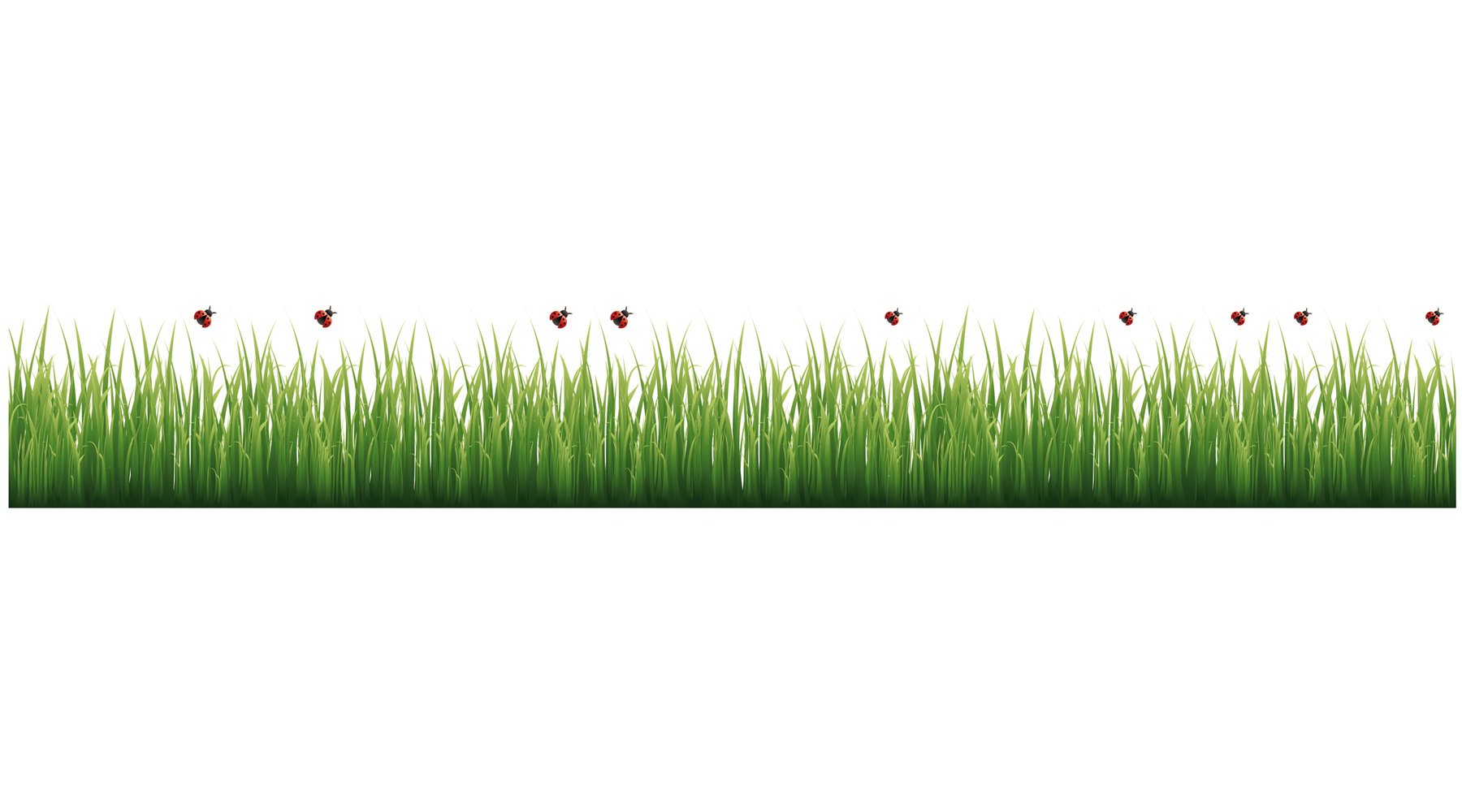 Crearreda CR-53004 Grass and Ladybugs Border Decal, Green