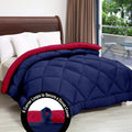 Svt Microfiber 200Tc Comforter (Double_Blue & Pink)