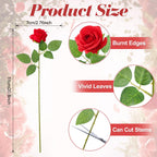 Hoemwarm 36 Pcs Red White Pink Artificial Roses With Long Stems, Fake Silk Rose Artificial Flowers Bulk For Bridal Wedding Bouqu