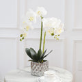 Artificial Orchids Silver Vases Orchids Artificial Flowers White Orchid Height 20 inches