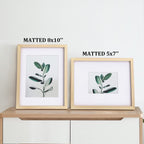 Egofine 11X14 Picture Frames Natural Wood 2 Pcs Made Of Solid Wood Covered By Plexiglass - For Table Top And Wall Mounting For P