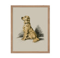 Poster Master Vintage Labrador Retriever Painting Poster - Retro Dog Print - Dog Portrait Art - Sketch Art - Hunting Dog Art - A