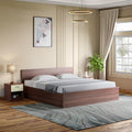 Godrej Interio Bed, Ewa Queen Size Engineered Wood Bed With Box Storage, 1Year Warranty, Brown, Particle Board