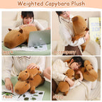 SQEQE Weighted Capybara Plush - Cute 9.8 Inch Soft Pillow Toy for Kids & Adults, 0.8 Lbs, Capybara Color