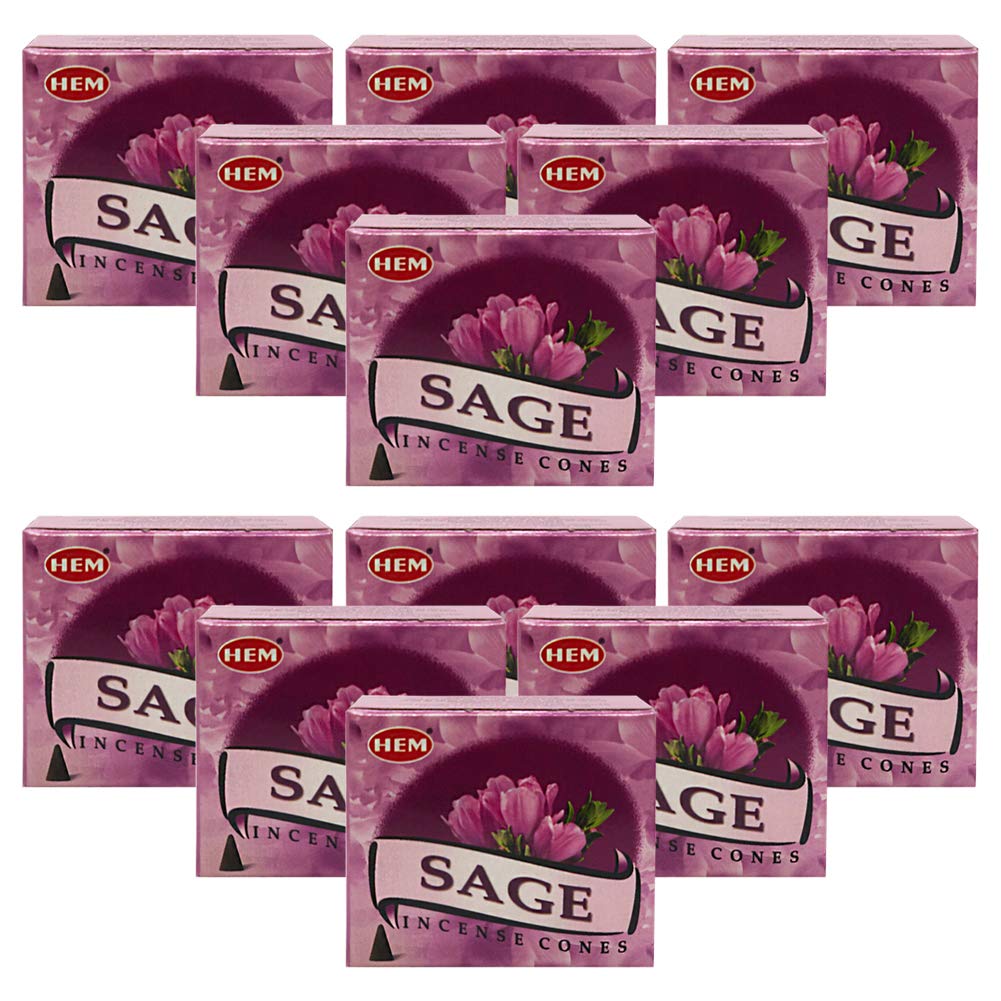 Sage Incense Cones And Cone Incense Burner Bundle Insence Insense Hem Incense