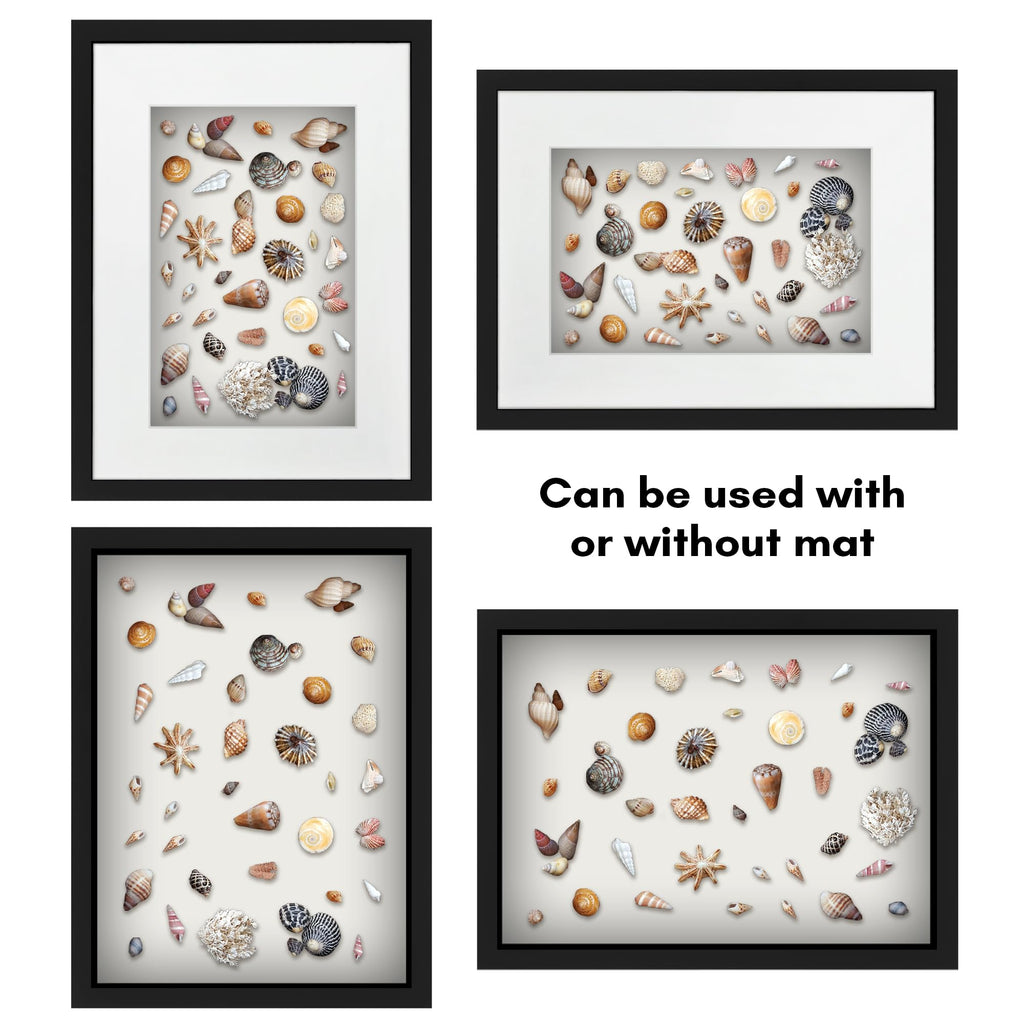 Americanflat 12X16 Shadow Box Frame With Polished Plexiglass - Use As 8X12 Frame With Mat Or 12X16 Frame Without Mat - Silhouett