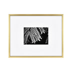 MCS Master & Co. Foundry Metal Gallery Wall Frame, Brass, 11 x 14 in matted to 5 x 7 in
