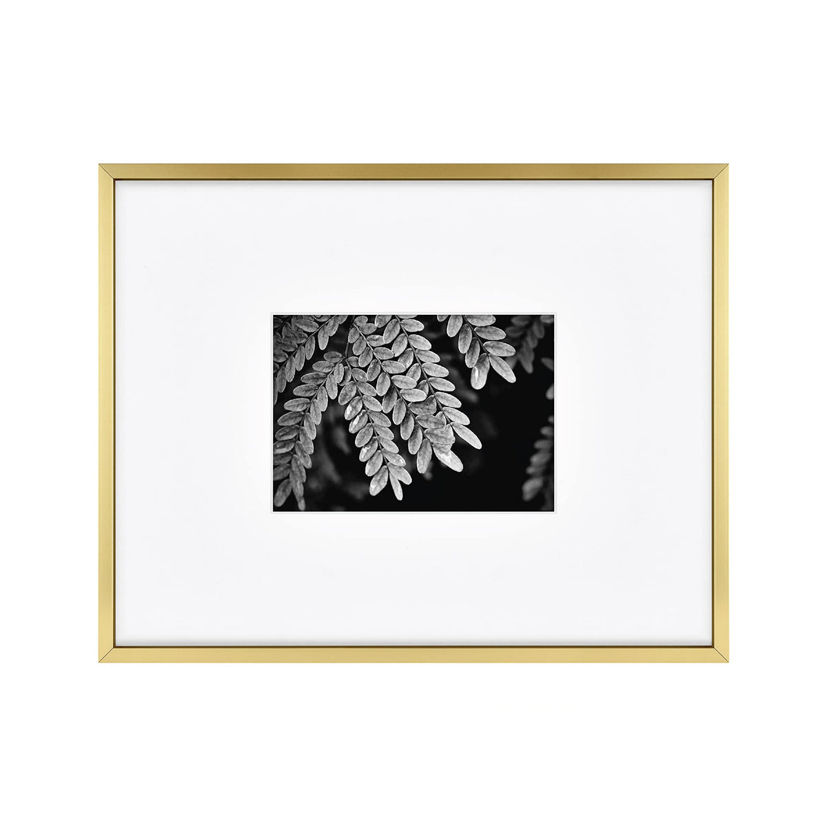 MCS Master & Co. Foundry Metal Gallery Wall Frame, Brass, 11 x 14 in matted to 5 x 7 in