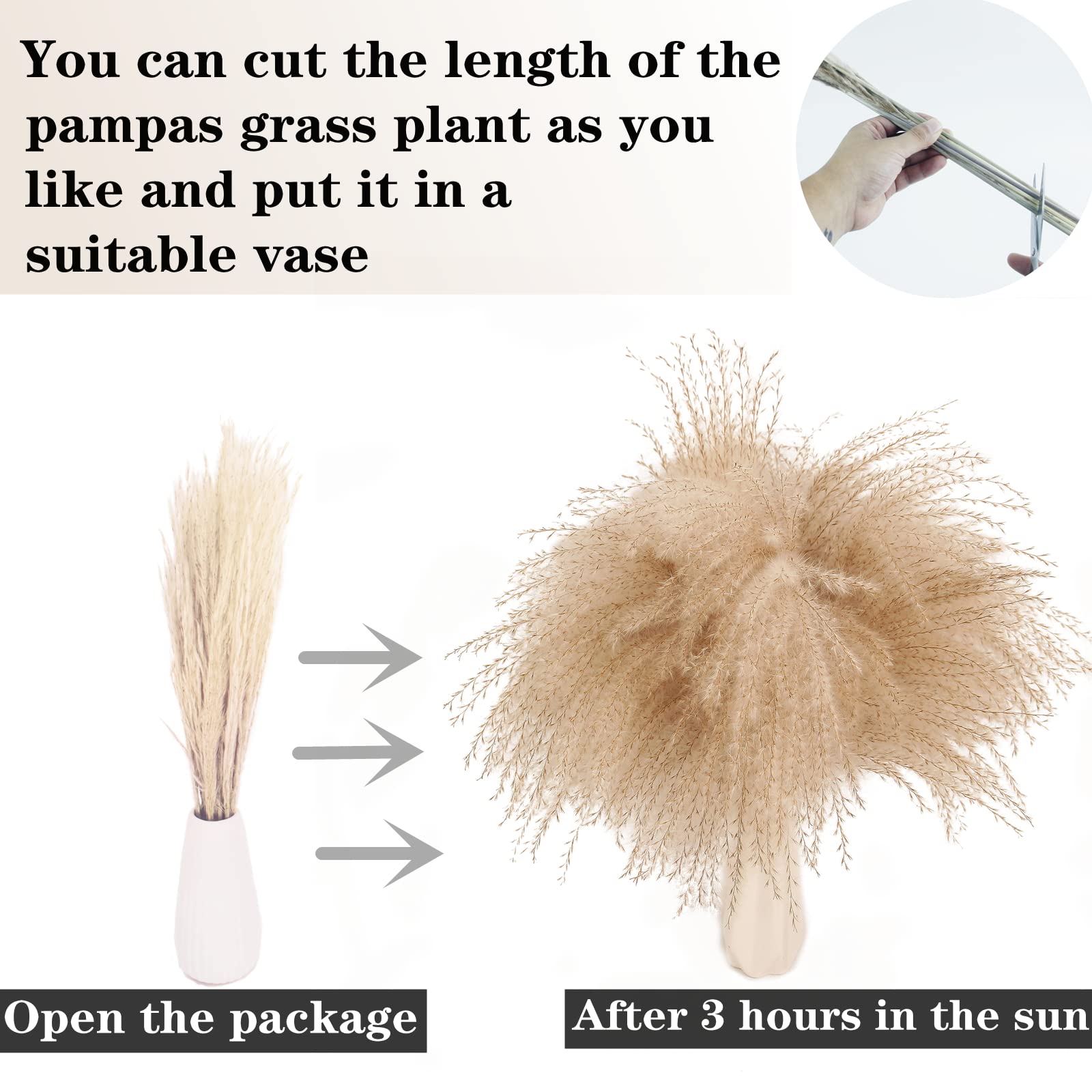 Dried Pampas Grass Decor, 100 Pcs Pampas Grass Contains Bunny Tails Dried Flowers, Reed Grass Bouquet For Wedding Boho Flowers H