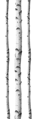WallPops DWPK2756 SSilver Birches Wall Art Kit, White & Off-White