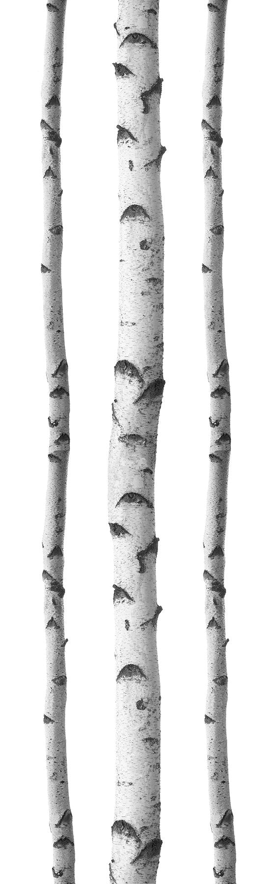 WallPops DWPK2756 SSilver Birches Wall Art Kit, White & Off-White