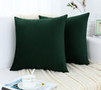Jeneoo Set Of 2 Comfy Accent Soft Velvet Throw Pillow Covers For Sofa Couch, Invisible Zipper Decorative Solid Square Cushion Ca