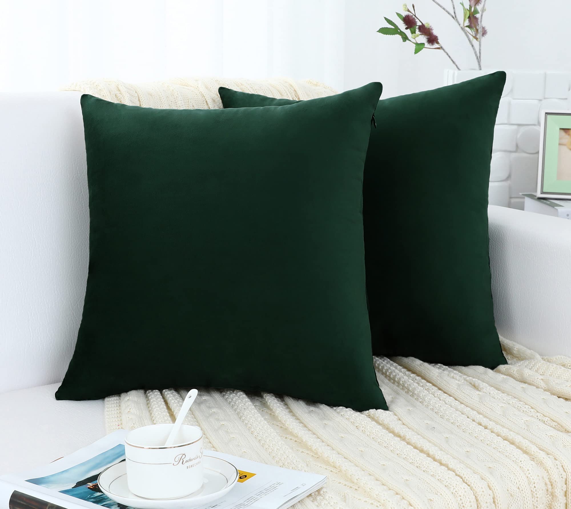 Jeneoo Set Of 2 Comfy Accent Soft Velvet Throw Pillow Covers For Sofa Couch, Invisible Zipper Decorative Solid Square Cushion Ca