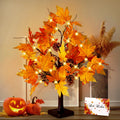[Timer & USB/Battery Operated] CKE 24 Artificial Fall Lighted Maple Tree, 24 LED Thanksgiving Decorations Table Light Artificial
