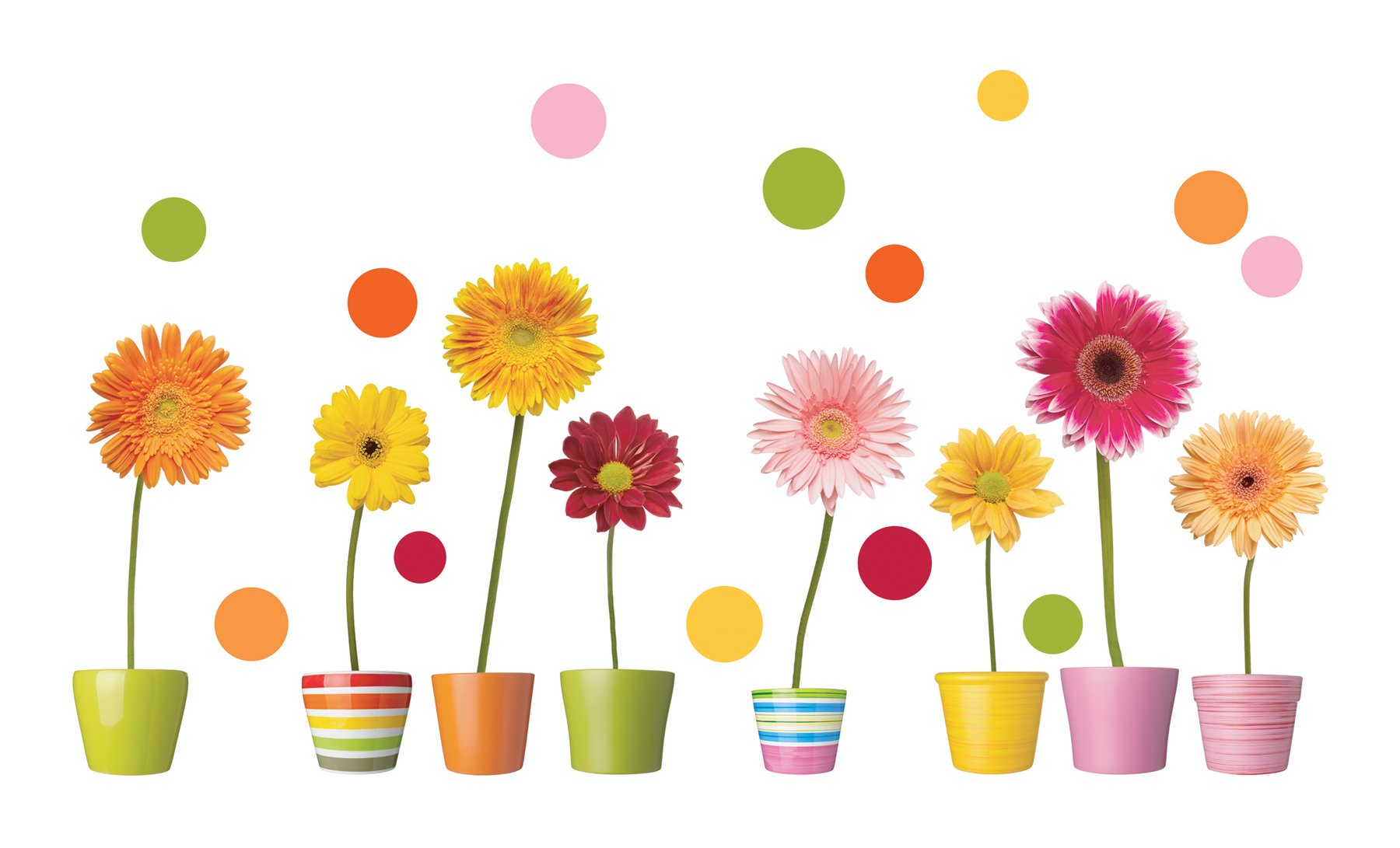 Crearreda CR-64003: Gerberas Flowers Window Decal, Multi