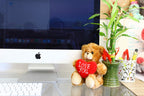 Plushland Stuffed Mocha Heart Bear - Plush Bear Toy For Kids & Adults - Embroidered Heart Pillow - Brown-6 Inches (Colorful Hear