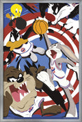 Trends International Looney Tunes: Space Jam - Court Wall Poster, 22.375 x 34, Silver Framed Version