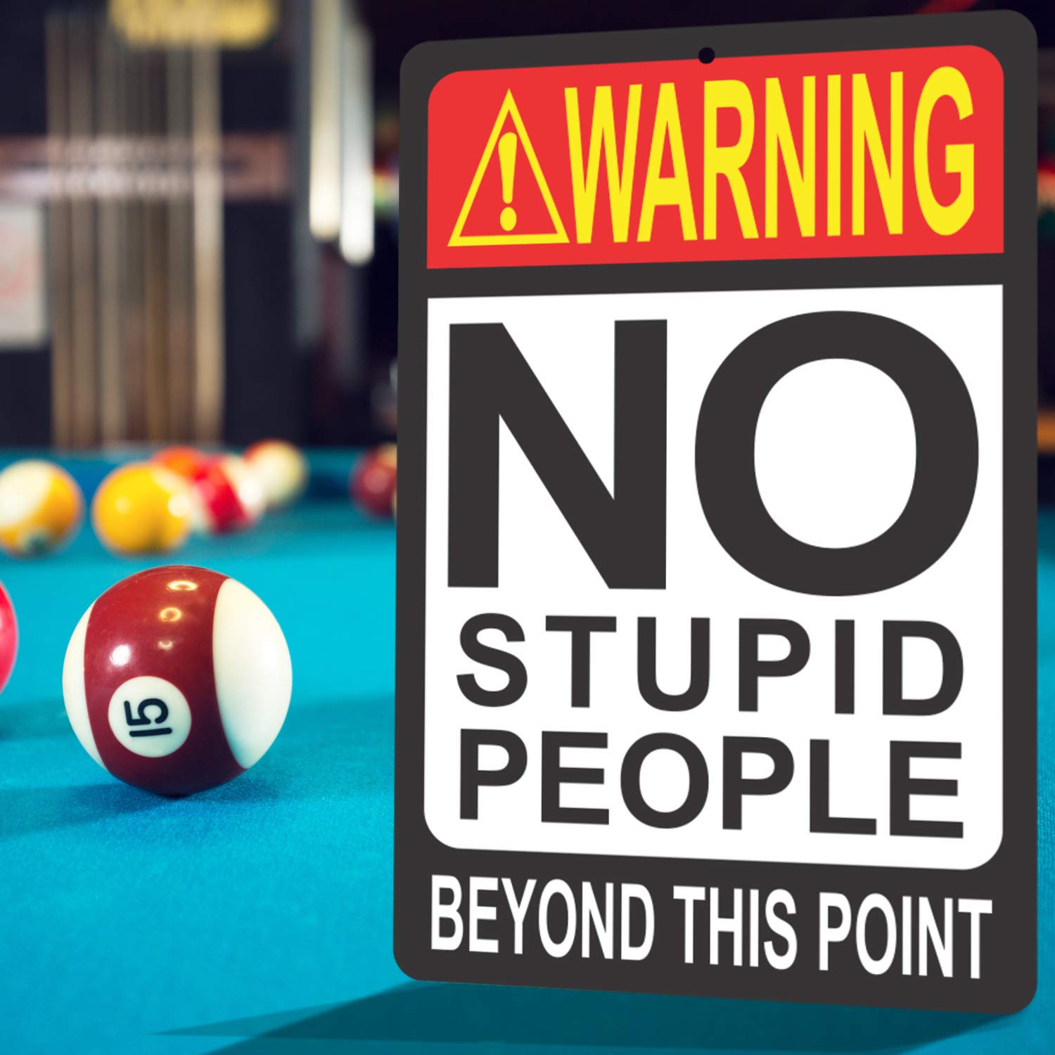 Atx Custom Signs - Sarcastic Funny Sign For Bar No Stupid People Beyond This Point