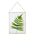 NCYP 8 x 10 Wall Hanging Brass Glass Artwork Certificate Photo Picture Display Frame, Ornament Plant Specimen Clip, Modern Verti