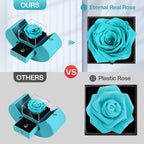 Preserved Real Cyan Rose Gift With I Love You In 100 Languages Necklace, Cute Gifts For Girlfriend, Women, Mom, Wife, Gifts Idea