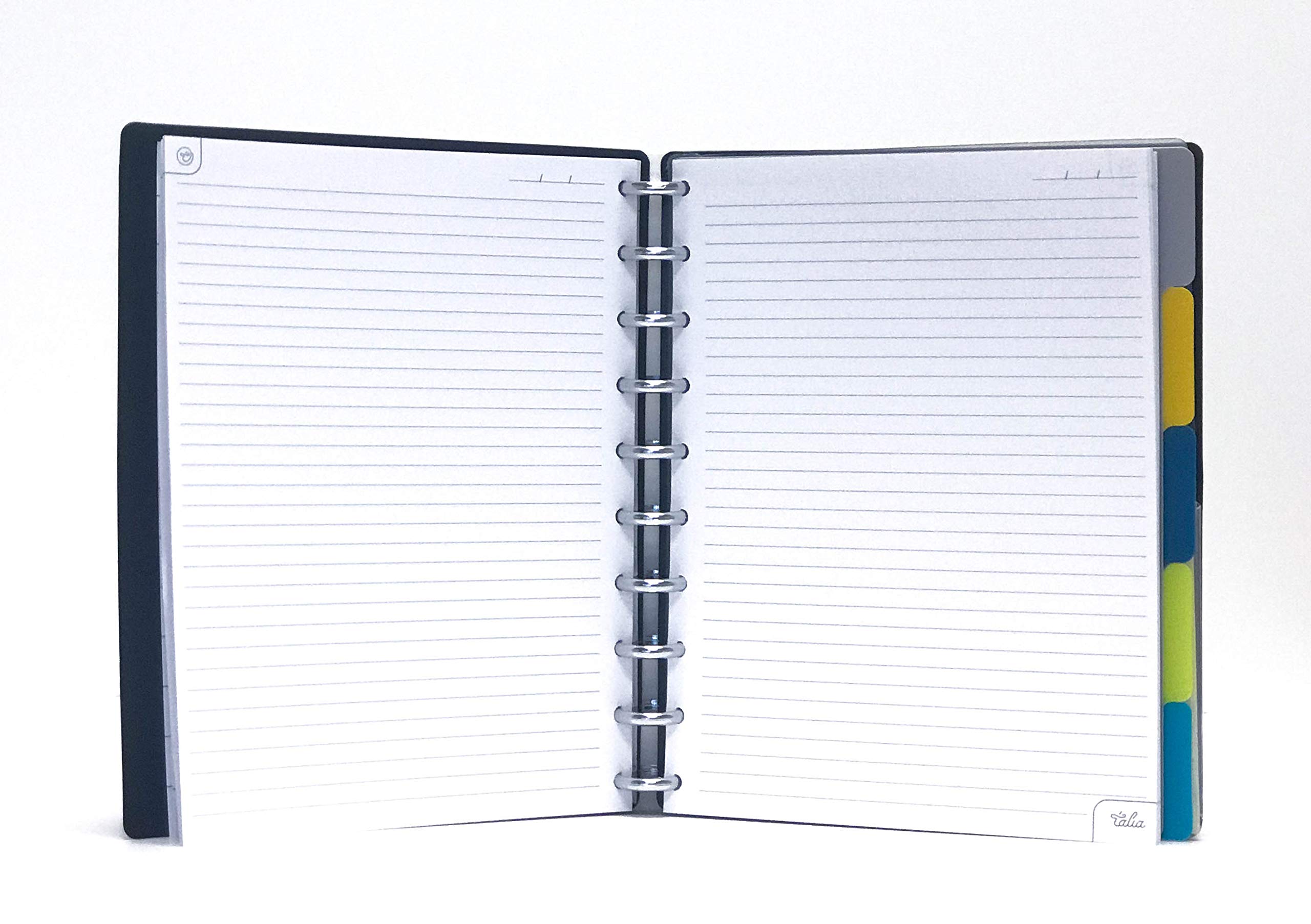 Talia Discbound Notebooks, Planner, Customizable, (Yclear W/Silver Discs, Midsize (7.5In X 9.75In))