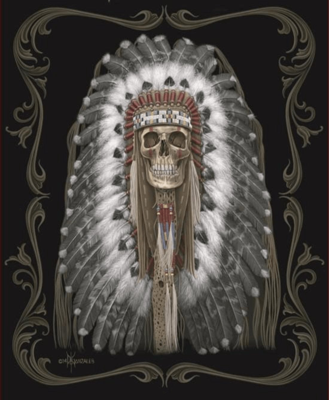 Dga Native Skull Signature Collection Super Soft Plush Blanket, Queen