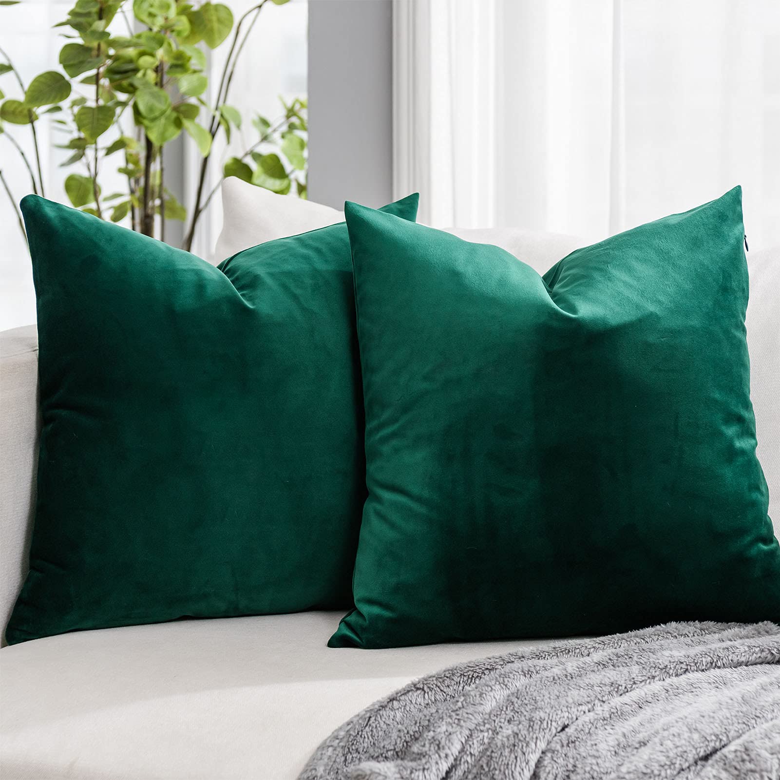 Quafoo Dark Green Christmas Couch Velvet Throw Pillow Covers 14X14 Inch Set Of 2 With Zipper Decorative Luxury Soft Solid Square